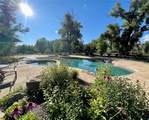 27095 Fire Song Road - Photo 9