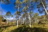 50560 Smith Creek Park Road - Photo 10