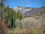 50560 Smith Creek Park Road - Photo 11