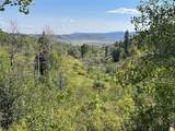 50560 Smith Creek Park Road - Photo 12