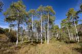 50560 Smith Creek Park Road - Photo 13