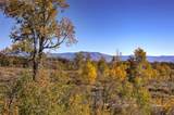 50560 Smith Creek Park Road - Photo 21