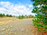 115 Black Canyon Court - Photo 28