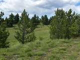 115 Black Canyon Court - Photo 4