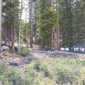 345 Bum Drive - Photo 5
