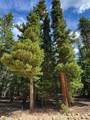 165 Silverheels Place - Photo 4