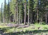 165 Silverheels Place - Photo 5