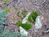 301 Vots Drive - Photo 10