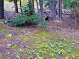 301 Vots Drive - Photo 16