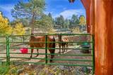 3115 State Highway 9 - Photo 35
