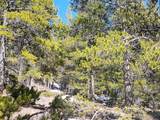 441 Gold Trail - Photo 44