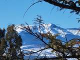 1411 Middle Fork - Photo 2