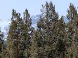 1411 Middle Fork - Photo 39