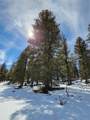 1411 Middle Fork - Photo 40