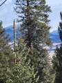 1411 Middle Fork - Photo 45