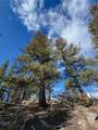 1411 Middle Fork - Photo 46