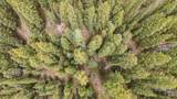 TBD Fredonia Gulch Rd - Photo 15