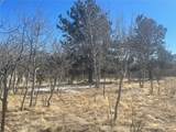 560 Raven Way - Photo 10