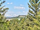 225 Deadwood Drive - Photo 39