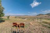 37755 Saddle Mountain Lane - Photo 21