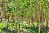 2346 High Creek Road - Photo 13