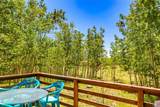 2346 High Creek Road - Photo 18