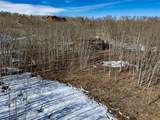 2346 High Creek Road - Photo 30