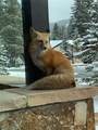 34 Beavers Drive - Photo 12