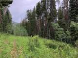 TBD Springboard Trail - Photo 2