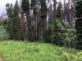 TBD Springboard Trail - Photo 3