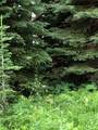 TBD Springboard Trail - Photo 4