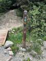 876 Broken Lance Drive - Photo 44