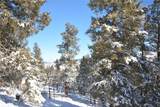 3806 Middle Fork - Photo 15