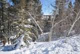 3806 Middle Fork - Photo 21