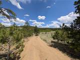 2117 Badger Creek Road - Photo 10