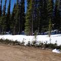 343 Sunshine Drive - Photo 10