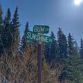 343 Sunshine Drive - Photo 9