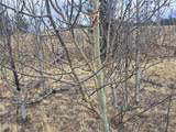 499 Kiowa Street - Photo 24