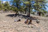 293 Yellowstone Road - Photo 19