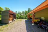 31020 Fallen Falcon Trail - Photo 30