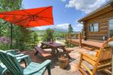 545 Tanglewood Lane - Photo 4
