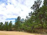 1051 Arapahoe Trail - Photo 12