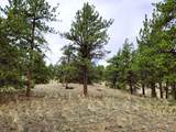 1051 Arapahoe Trail - Photo 34