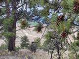 1051 Arapahoe Trail - Photo 39