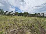 74 Forest Drive - Photo 12