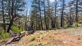 1050 Middle Fork - Photo 6