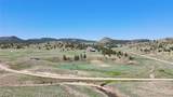 751 Thrush Lane - Photo 4