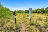 597 Sheep Ridge Road - Photo 50