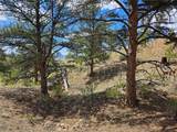 PCS#25253 Fernando Trail - Photo 24