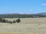 452 Grand Teton Drive - Photo 8